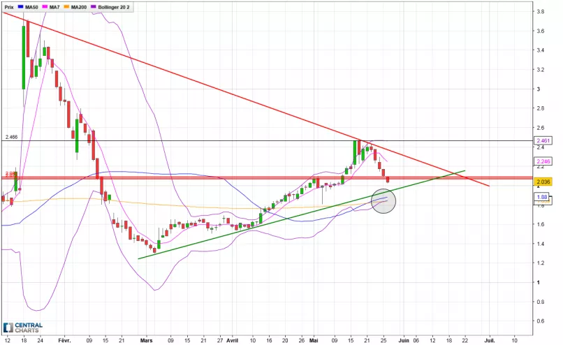 VIRIDIEN - Daily