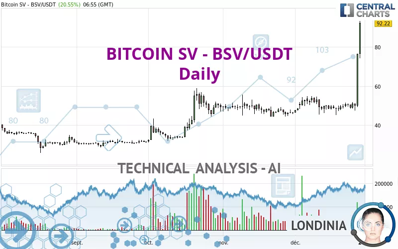 BITCOIN SV - BSV/USDT - Journalier