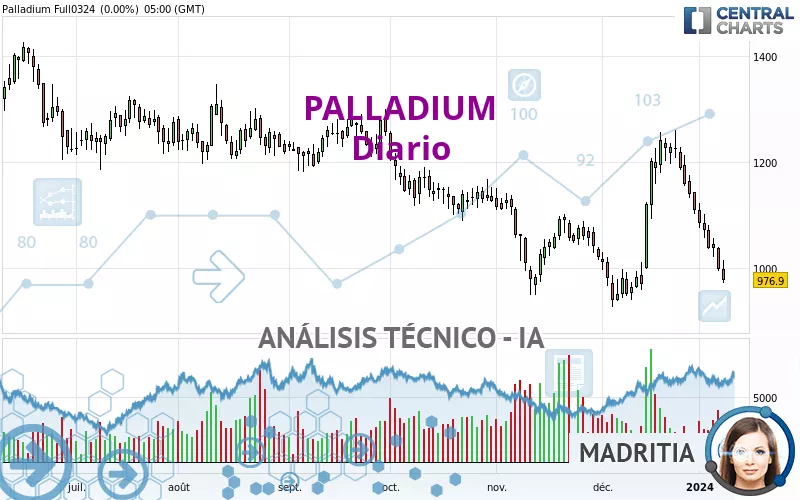 PALLADIUM - Dagelijks