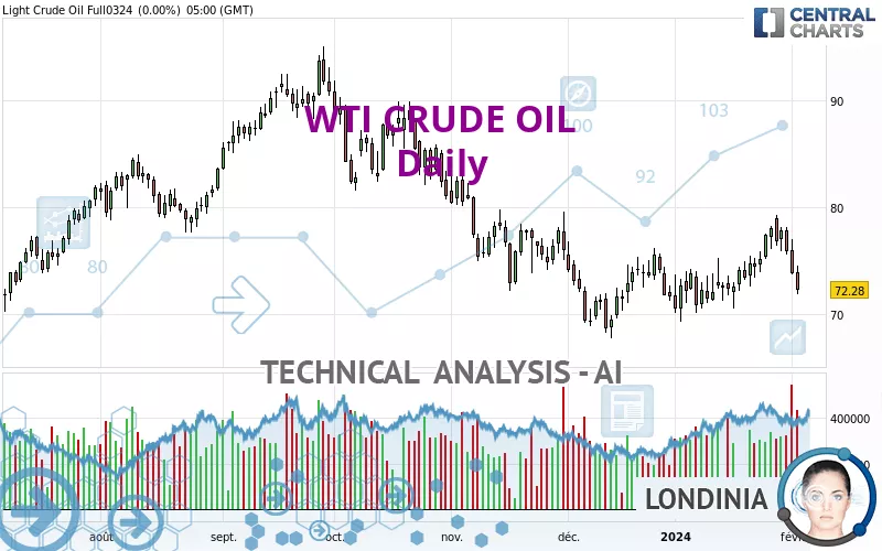 WTI CRUDE OIL - Diario