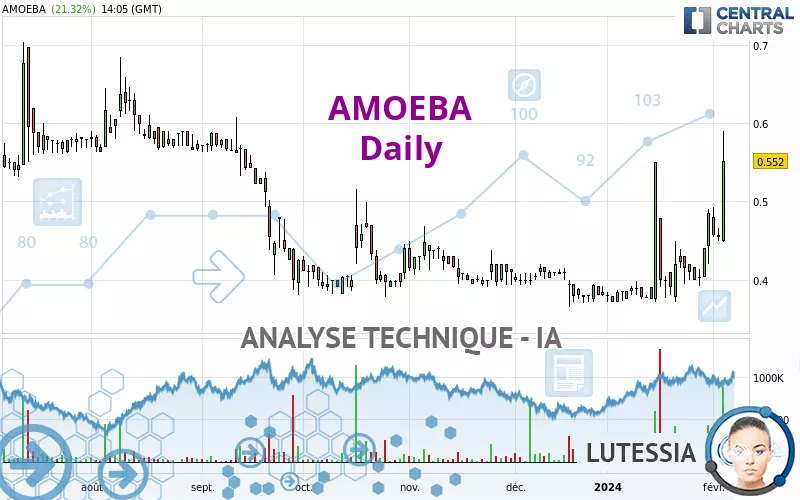 AMOEBA - Journalier