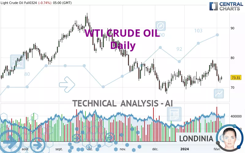 WTI CRUDE OIL - Daily