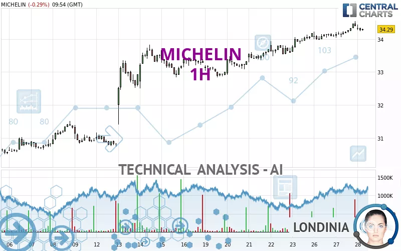 MICHELIN - 1H