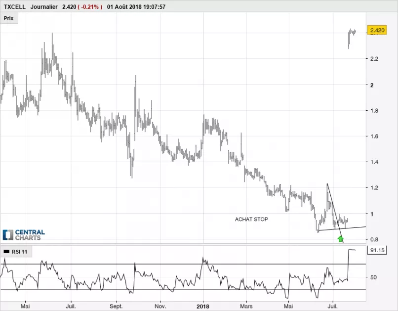 TXCELL - Journalier
