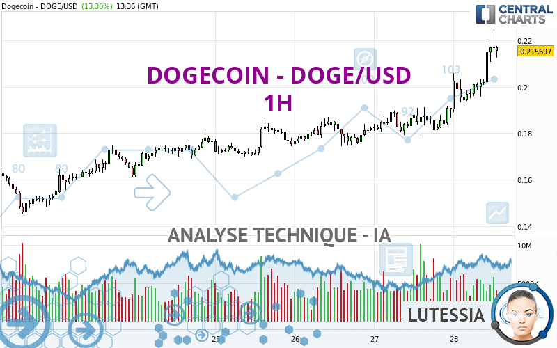 DOGECOIN - DOGE/USD - 1H