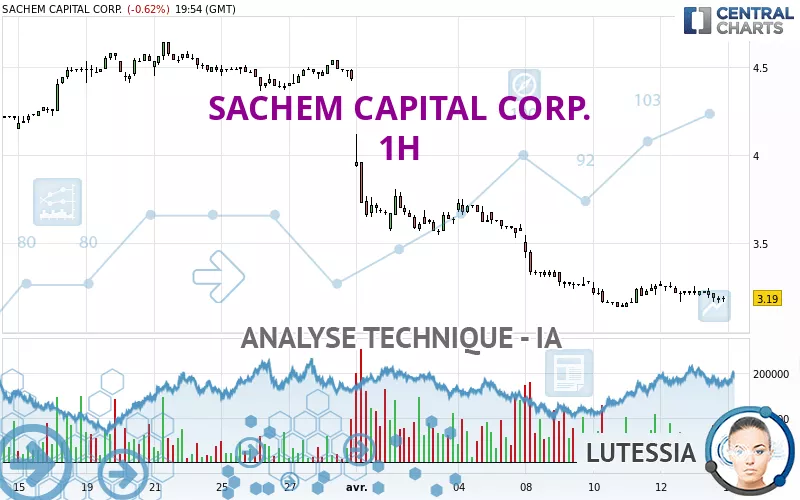 SACHEM CAPITAL CORP. - 1H