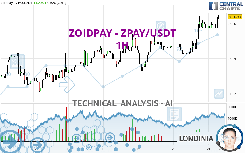 ZOIDPAY - ZPAY/USDT - 1H