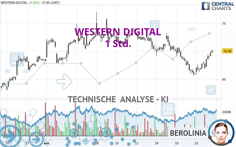 WESTERN DIGITAL - 1 Std.