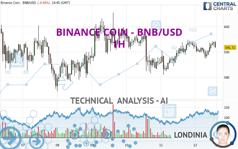 BINANCE COIN - BNB/USD - 1H