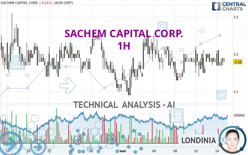 SACHEM CAPITAL CORP. - 1H