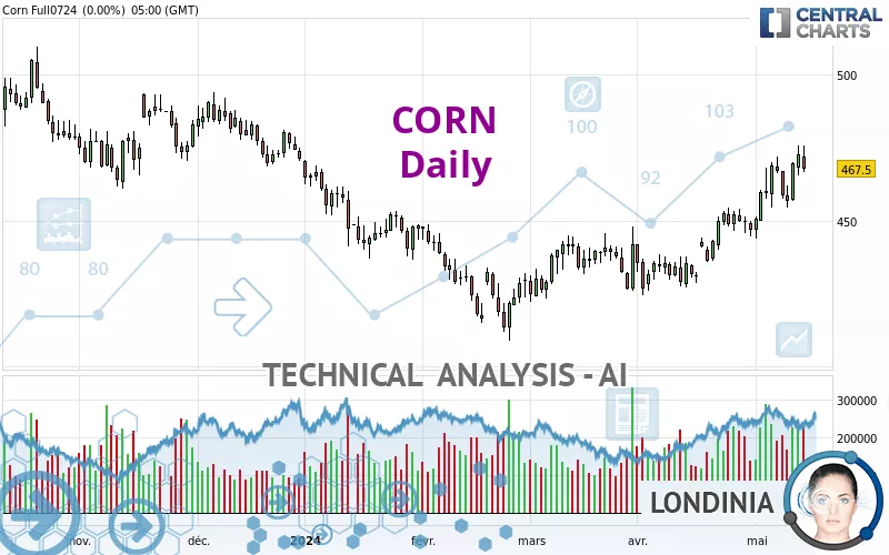 CORN - Daily