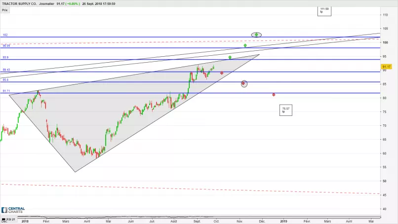 TRACTOR SUPPLY CO. - Journalier