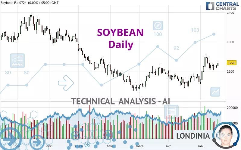 SOYBEAN - Journalier