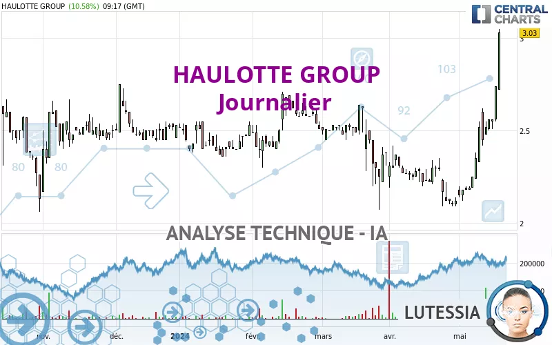 HAULOTTE GROUP - Journalier