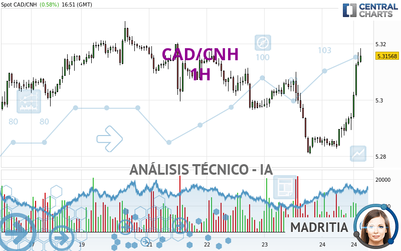 CAD/CNH - 1 Std.