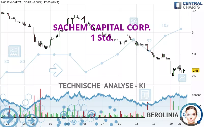 SACHEM CAPITAL CORP. - 1 Std.