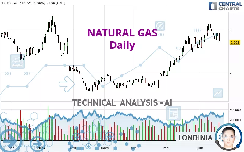 NATURAL GAS - Dagelijks