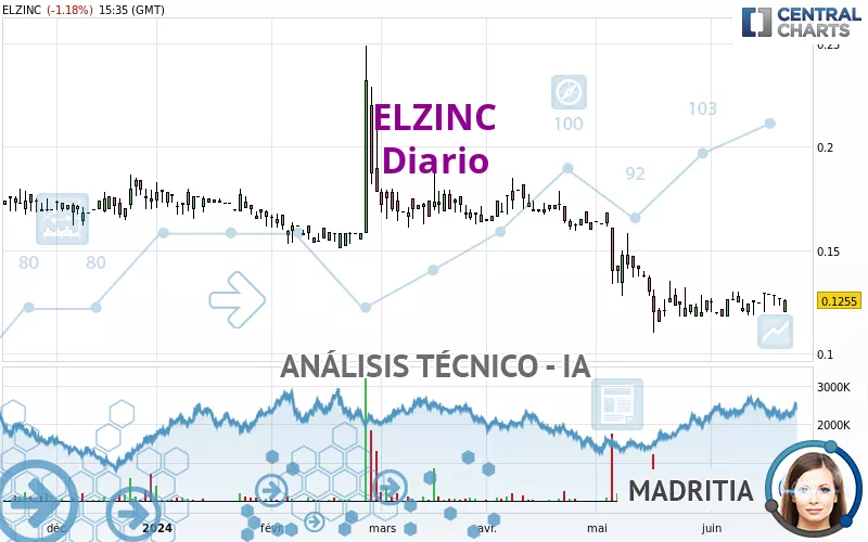 ELZINC - Diario