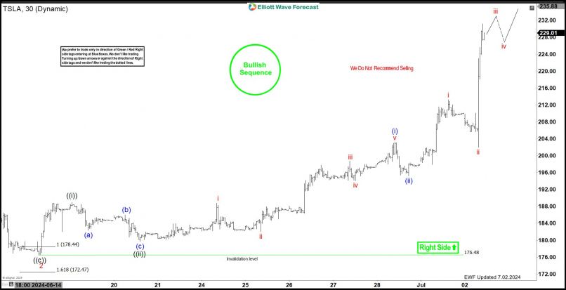 TESLA INC. - 30 min.