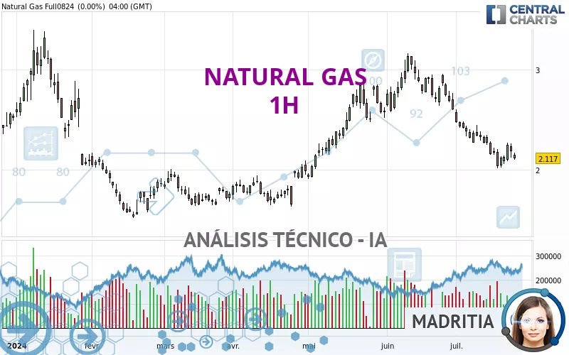 NATURAL GAS - 1 uur