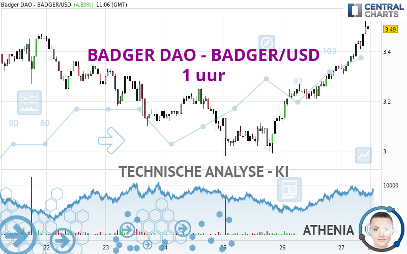 BADGER DAO - BADGER/USD - 1H