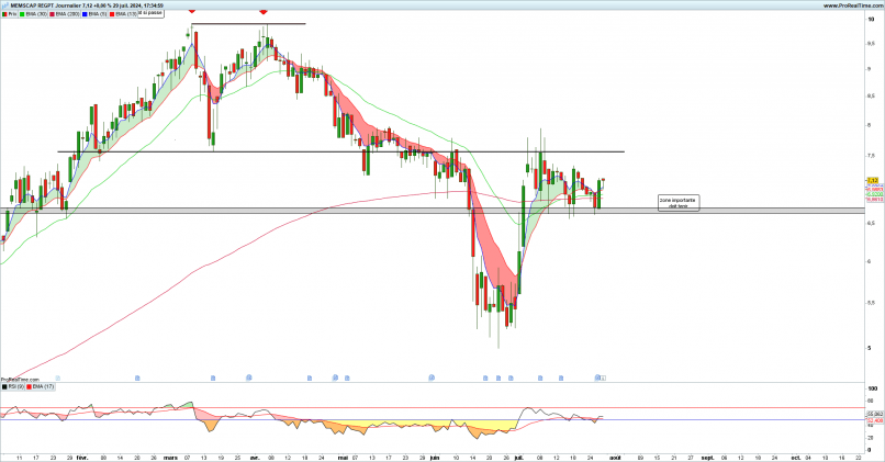 MEMSCAP REGPT - Diario