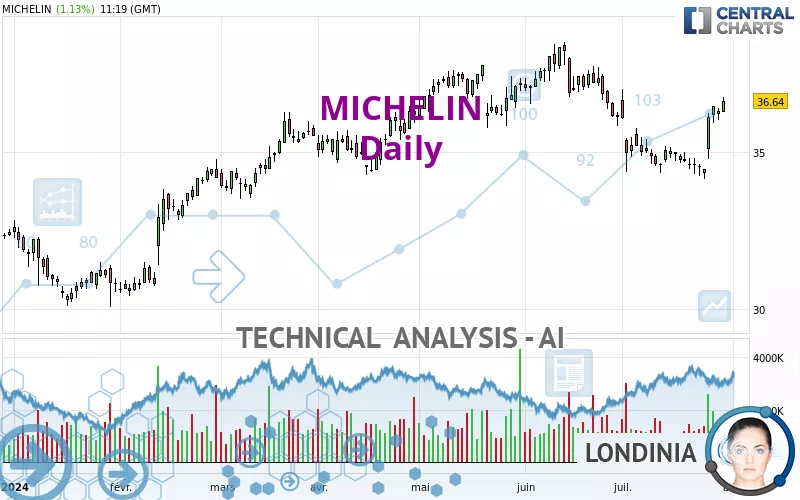 MICHELIN - Journalier