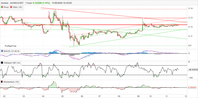 AUDIUS - AUDIO/USDT - 1H