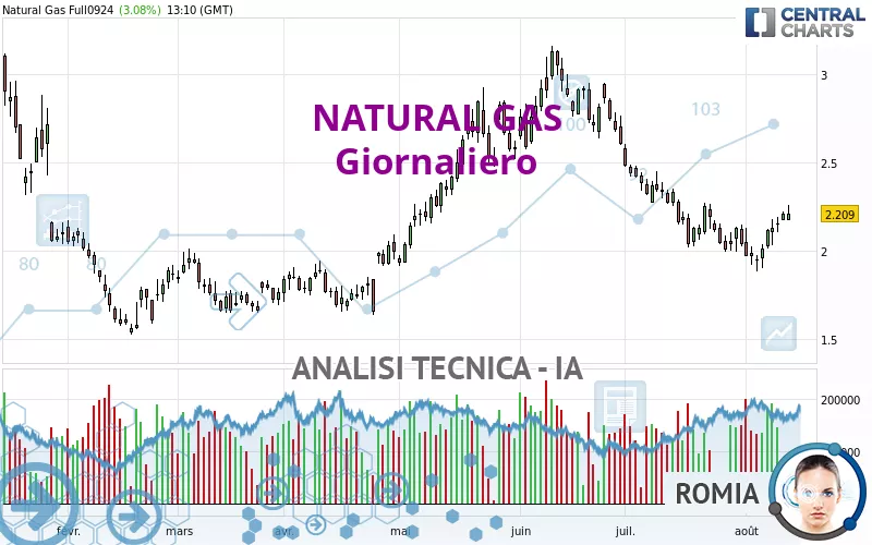 NATURAL GAS - Täglich