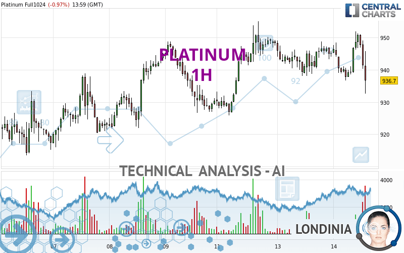 PLATINUM - 1 uur