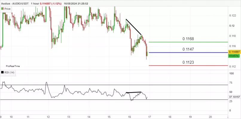 AUDIUS - AUDIO/USDT - 1H