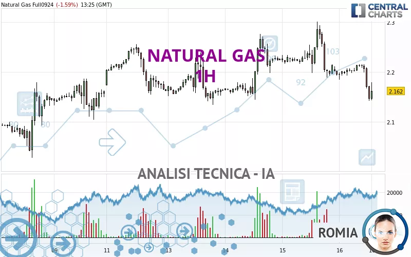 NATURAL GAS - 1 Std.