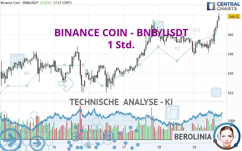 BINANCE COIN - BNB/USDT - 1 Std.