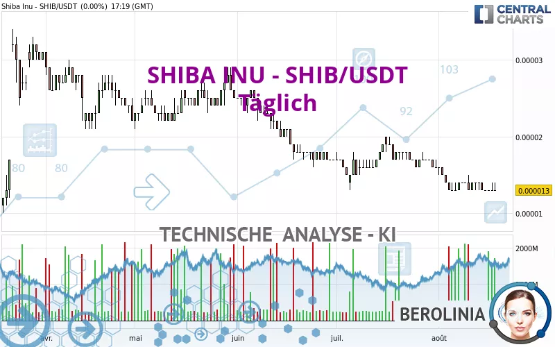 SHIBA INU - SHIB/USDT - Täglich