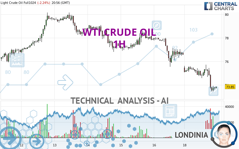 WTI CRUDE OIL - 1 Std.