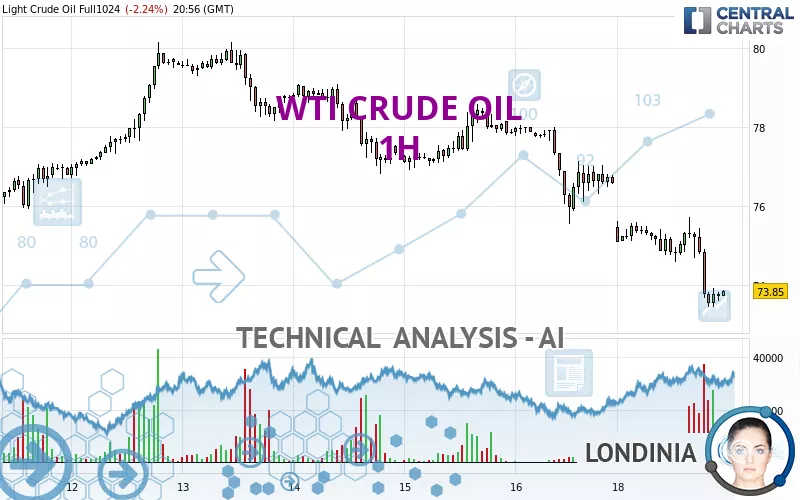 WTI CRUDE OIL - 1H