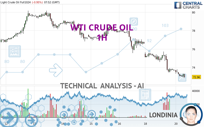 WTI CRUDE OIL - 1 Std.