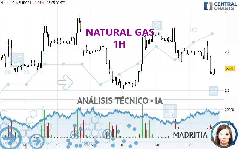 NATURAL GAS - 1 Std.