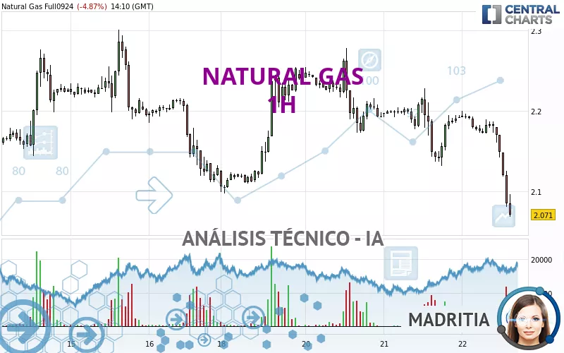 NATURAL GAS - 1 uur