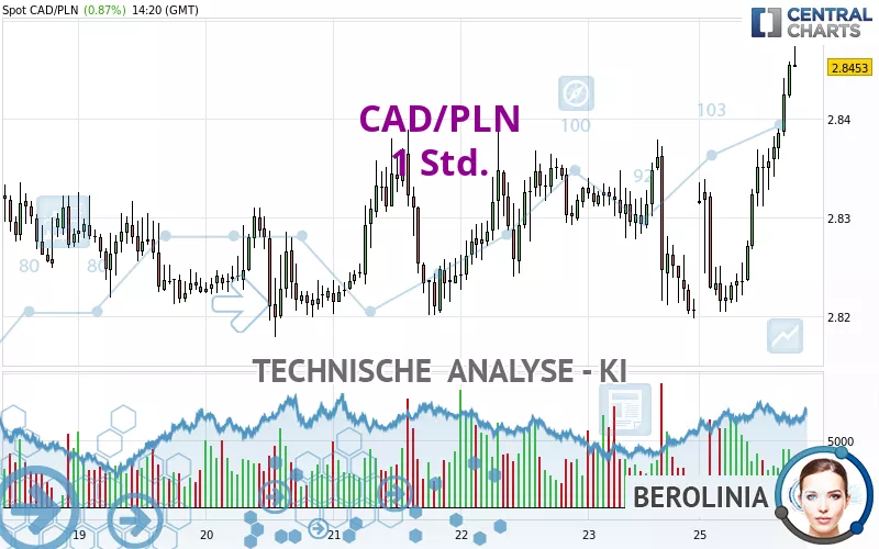 CAD/PLN - 1 Std.