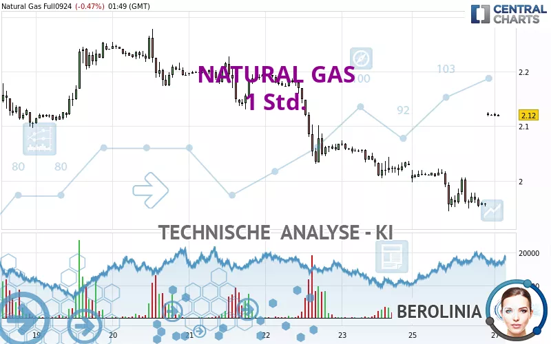 NATURAL GAS - 1 Std.