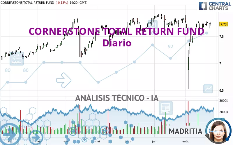 CORNERSTONE TOTAL RETURN FUND - Diario