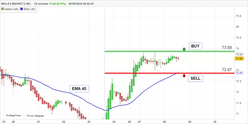 INGLES MARKETS INC. - 30 min.