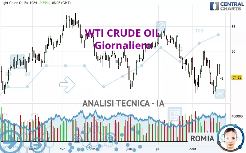 WTI CRUDE OIL - Täglich