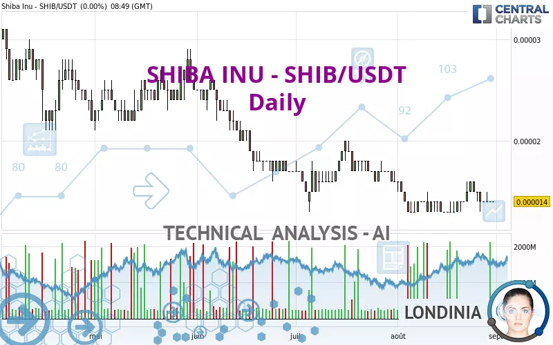 SHIBA INU - SHIB/USDT - Daily