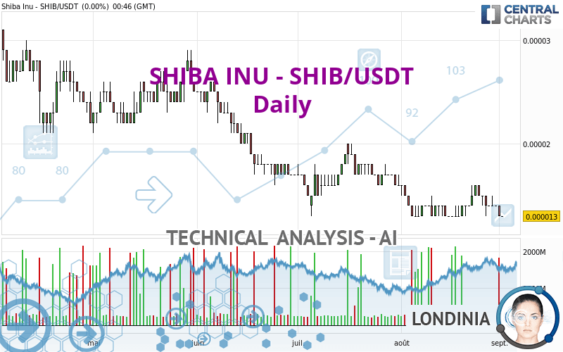 SHIBA INU - SHIB/USDT - Dagelijks