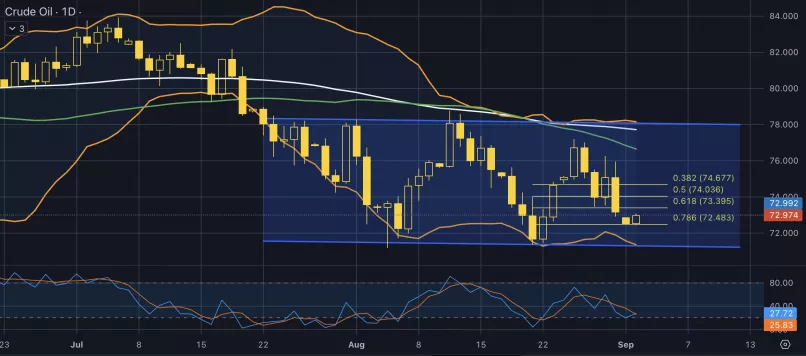 WTI CRUDE OIL - Täglich