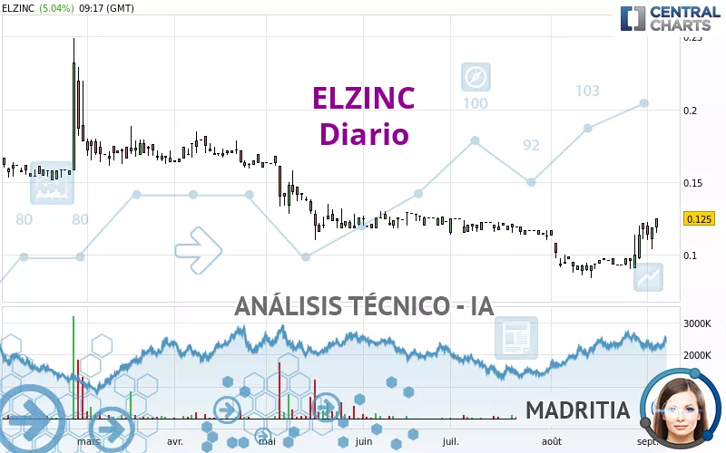 ELZINC - Diario