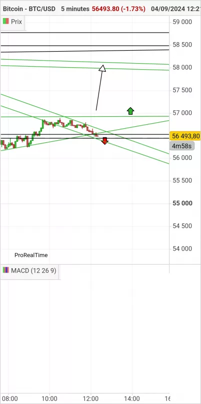 BITCOIN - BTC/USD - 5 min.