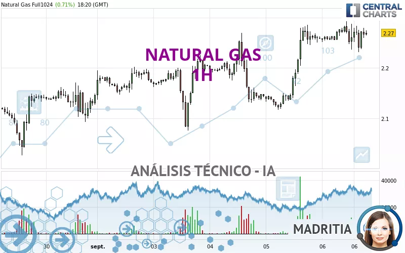 NATURAL GAS - 1 uur